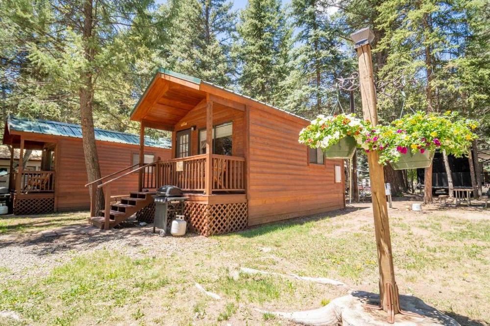 The Columbine Cabin #9 at Blue Spruce RV Park & Cabins